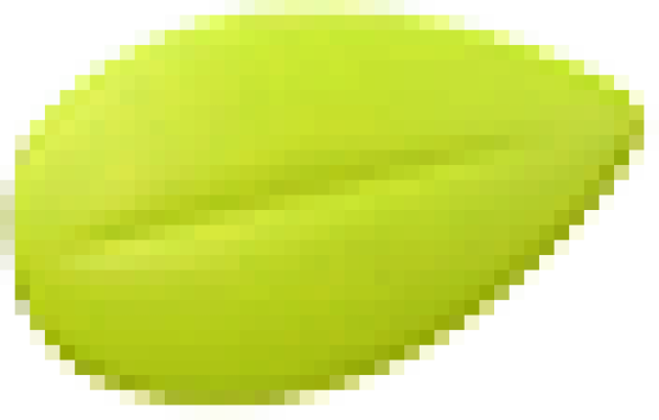 草块叶子.png
