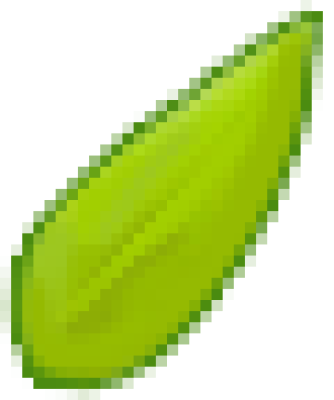 桃子叶子.png