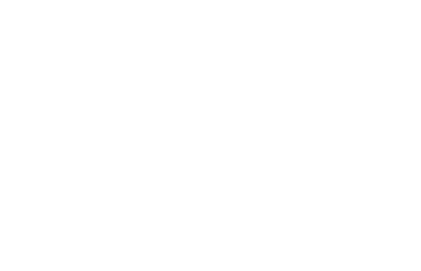 lizi-0002.png