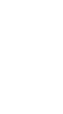 Ribbon1.png