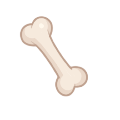 骨头.png