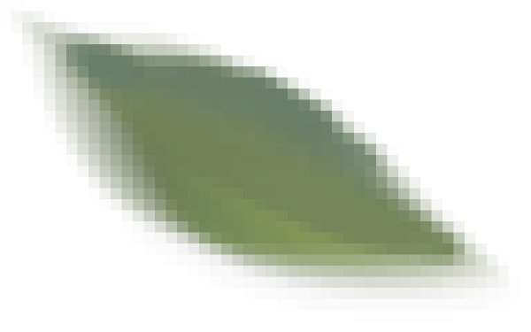 shuyezi.png