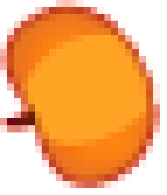 ng2.png