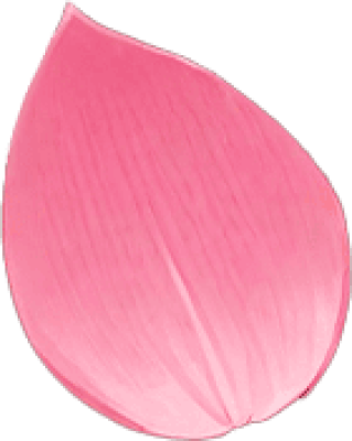 tex_huaban3.png