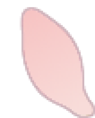 petal.png