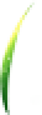 Grass.png