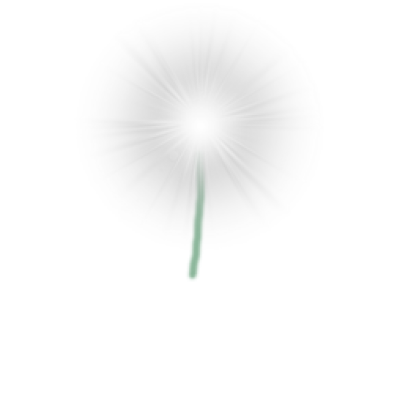 Dandelion.png