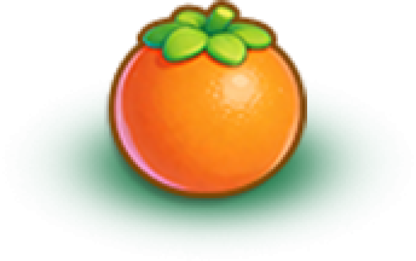 橙子.png