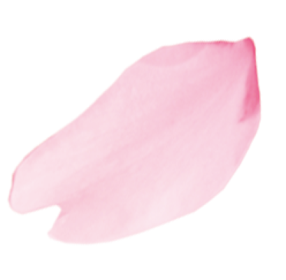 sakura.png