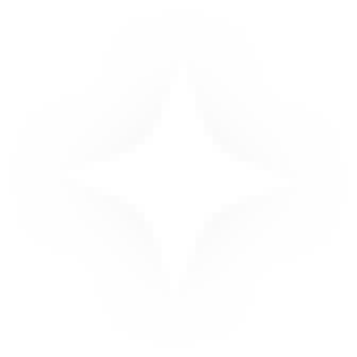 4 point star v2.png