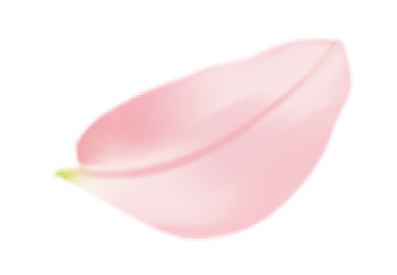 sakuraPetals.png