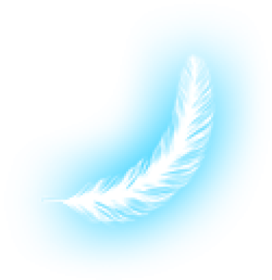 feather1.png