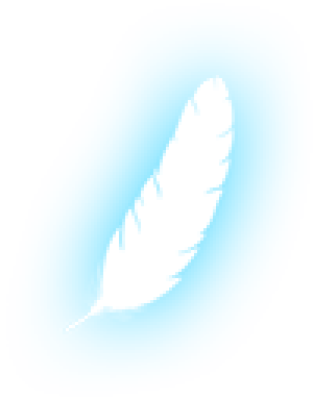 feather2.png