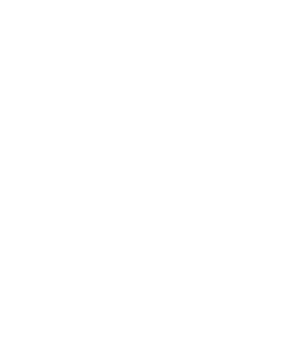 大星星.png