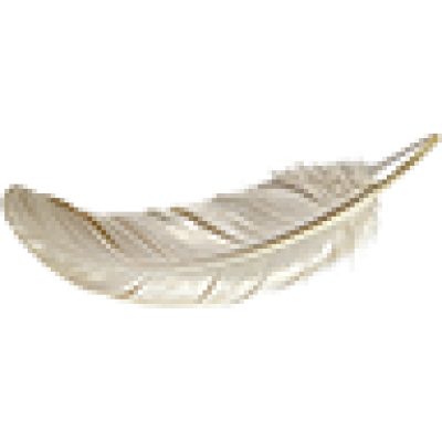 liuguang5.png