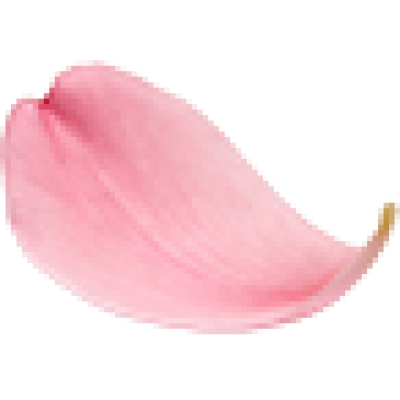 huabao.png