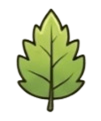 leaf.png