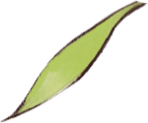 y1.png