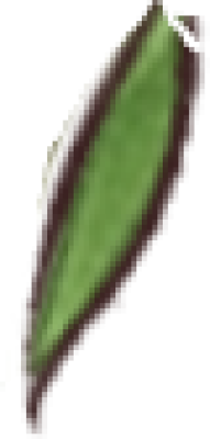 y2.png