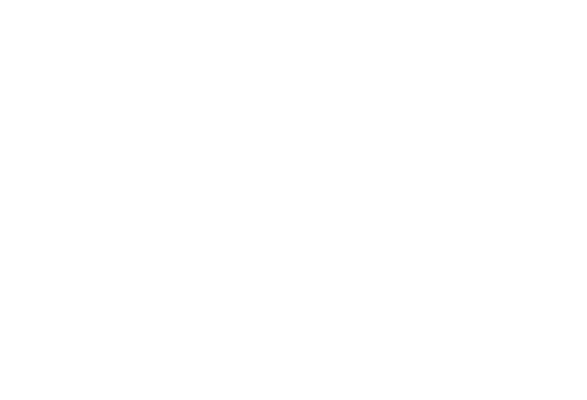 3123.png