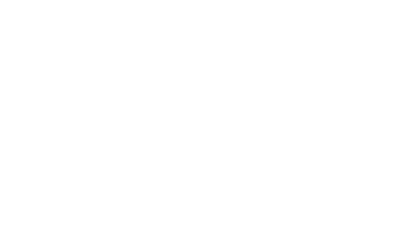 eff.png