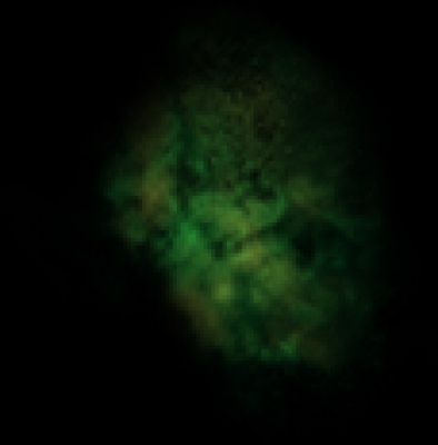 1x1@dhj6.png