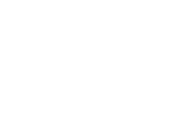 形状 2.png