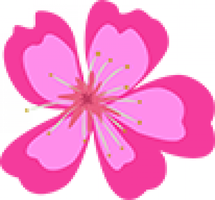 玉门桃花.png