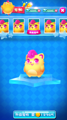 宠物2.png