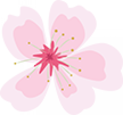 天喜桃花.png