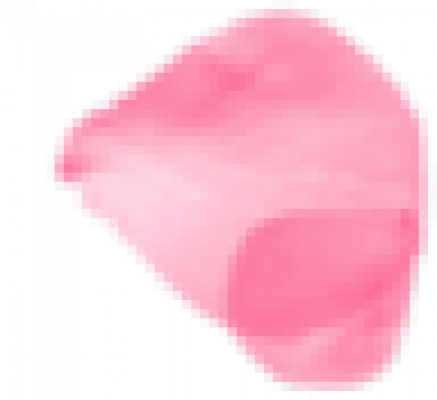 flower.png
