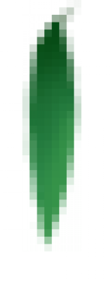 gdmajiang_lizhi1.png