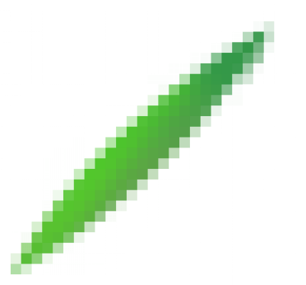 gdmajiang_yelizhi1.png