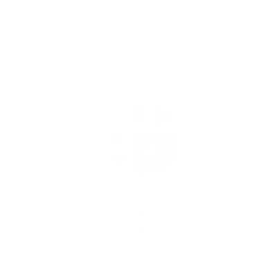 shouchong_lizhi2.png
