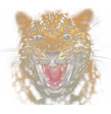 ljbp_texiao_bao1.png