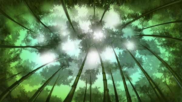 登录竹林.jpg