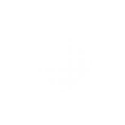 美味餐厅的金币光效2.png