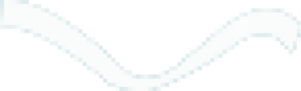 caidai.png