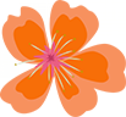 p4.png