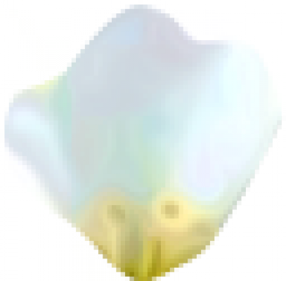 huaban.png
