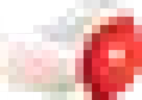 dgzp.png