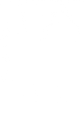 555.png