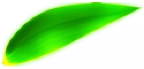 y1_00000.png