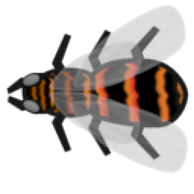 insect2.png