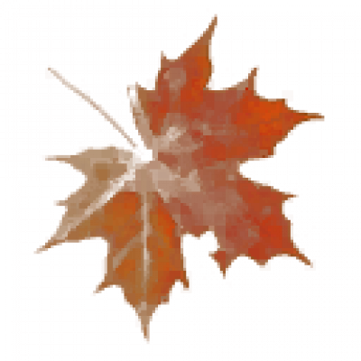k_fengye001.png
