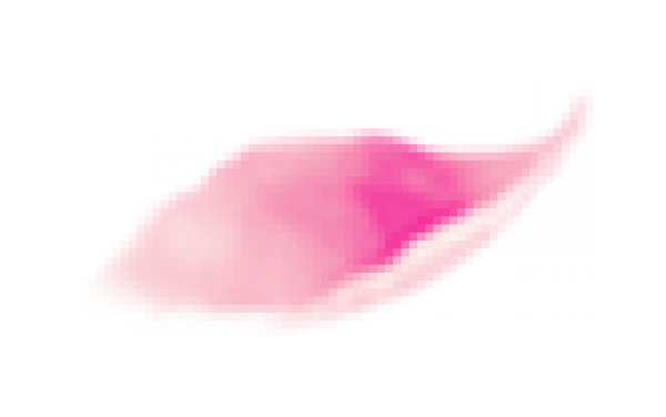 flower1.png