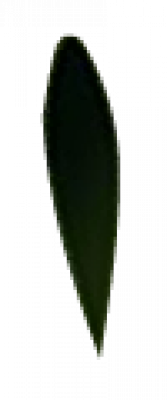 zhuye.png