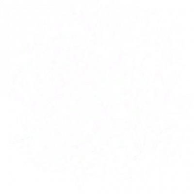 LINKDATA1_2852-24_1_00.png