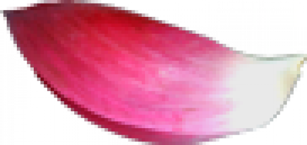 未标题-2.png
