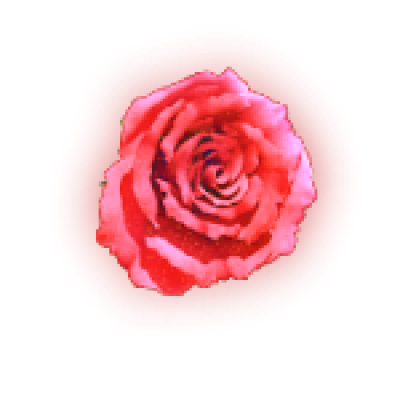 000005.png